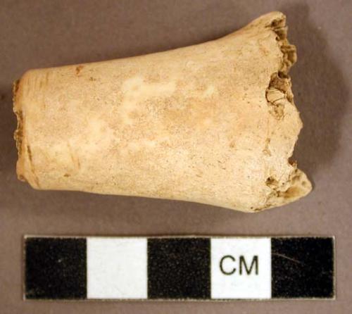 Animal bone fragment, cut at one end