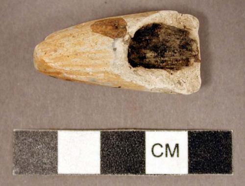 Pipe fragment