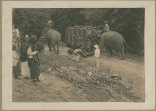 Elephants pushing cart loaded with five ton oil engine