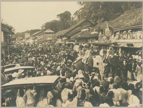 Elephants in the Kandy Perahera, an annual procession