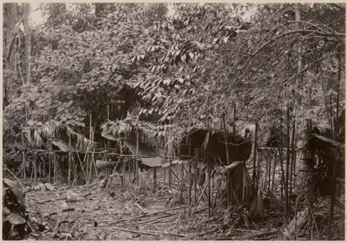 Bamboo coffins