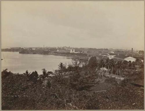 Aerial view of buildings and trees on coastline