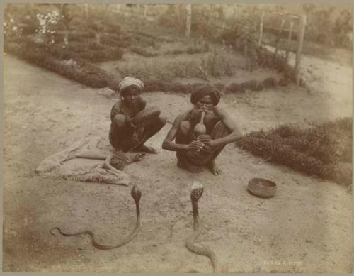 Snake charmers