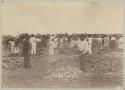 Men and women carrying and stacking fronds and vegetation