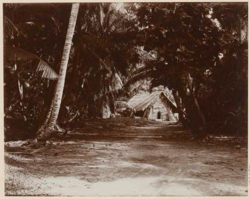 Building, surrounded by palms