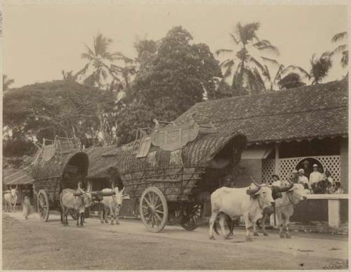 Ox and wagon in street in front of buildings