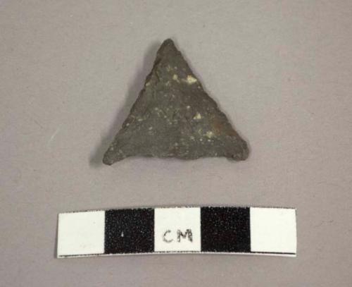 Triangular arrowhead, points forming barbs