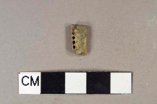 Bone toothbrush head fragment