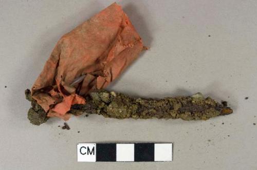 Ferrous Nail, corroded but complete, thin orange flagging tape around head (likely from former archaeological excavation)