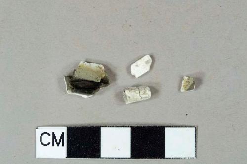 Burned and calcined bone fragments, likely mammal