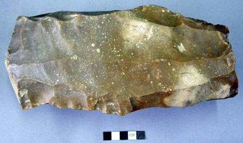 Large nucleus of beeswax flint