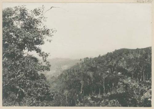 Bilan homes, surrounded by forest