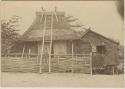 Girl on ladder to house