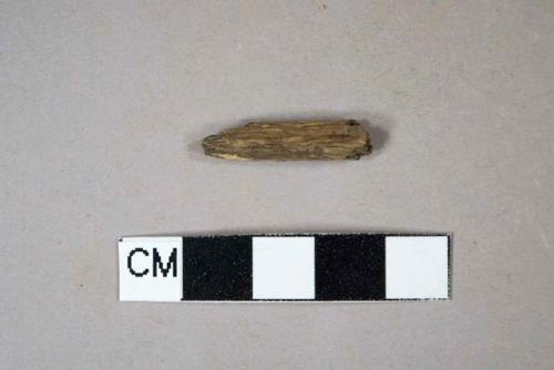 Wood fragment