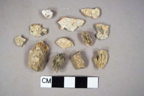 8 heavily burned coal fragments, 2 bone fragments. 1 mortar fragment, 1 stone fragment