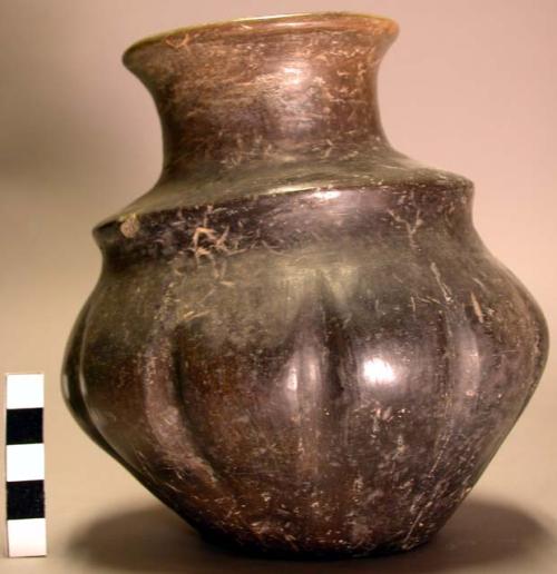 Pottery pytomorphic vase, with blackish polished coat of paint