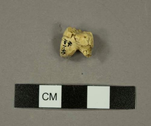 Australopithecus afarensis