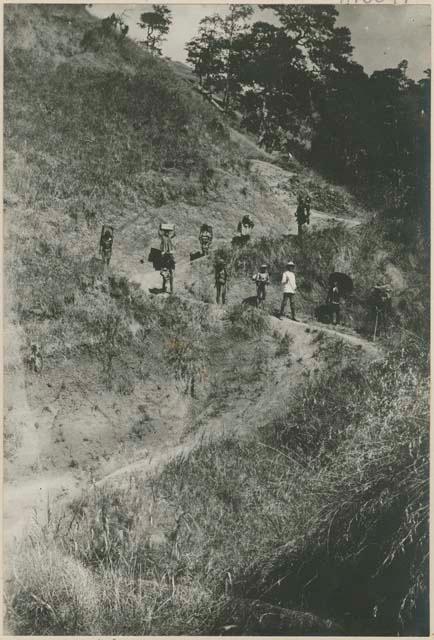 Igorot men carrying loads along trail