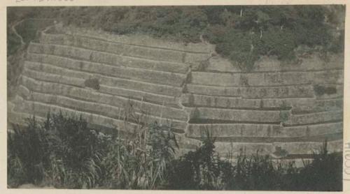 Small group of stone-walled terraces in Bakyaoin