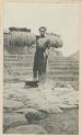 Man carrying rice sheaves on a pole