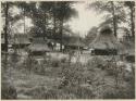 Igorot Village. Taken at the St. Louis Exposition, 1904