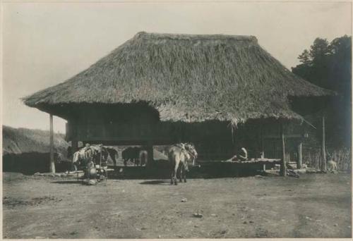 House of a wealthy Igorot man