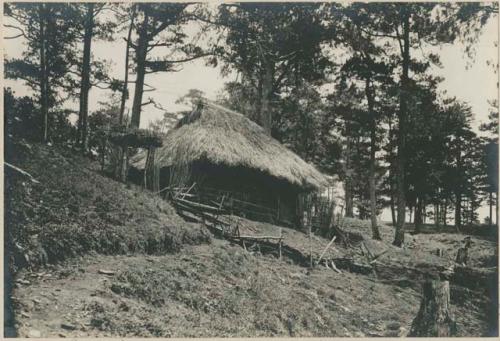 Igorot grass house