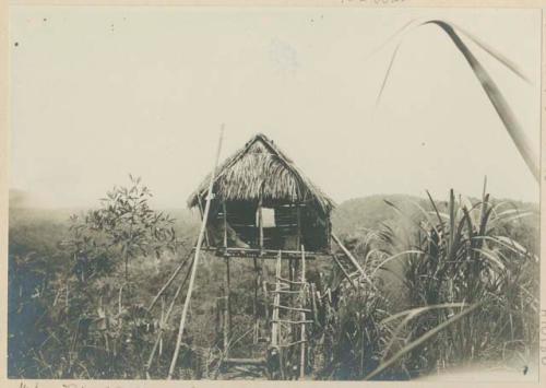 Traditional Bukidnon home in Negros Occidental