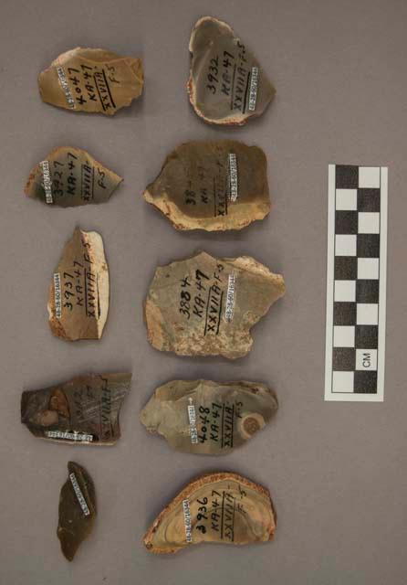 10 flint flakes, including grey, brown and tan colored stone (most with cortex)