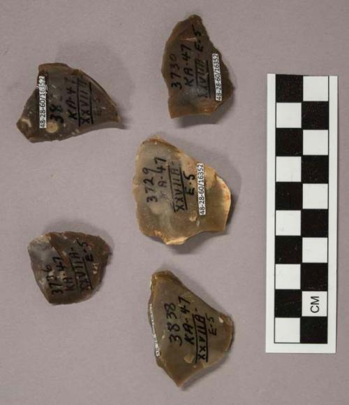 4 flint flakes, including grey and brown colored stone (1 with cortex)
