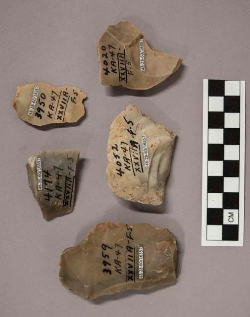 5 flint flakes, including grey, brown and tan colored stone