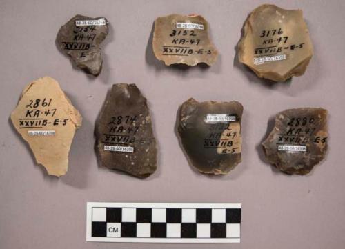 7 flint flakes including cream, grey, tan and brown colored stone (some with cortex)