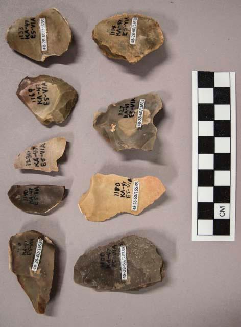 9 flint flakes, including grey, tan and brown colored stone (some with cortex)