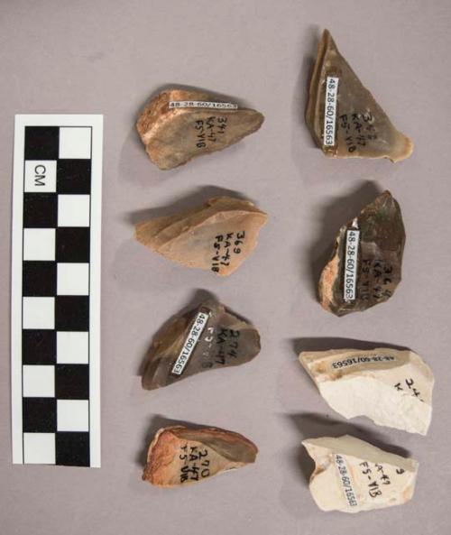 8 flint flakes, including cream, tan and brown colored stone (with cortex)