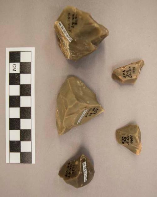 5 flint flakes and cores, grey and tan colored stone (some with cortex)