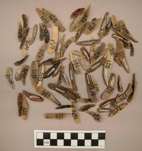 74 flint blades, including tan, grey, brown, cream and red colored stone (some with cortex)