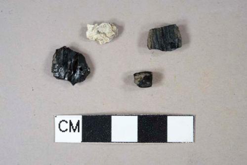 2 coal fragments, 1 burned, 2 charcoal fragments