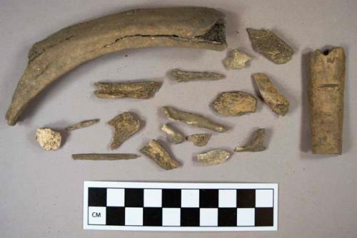Bone fragments, 1 mammal rib fragment, 1 fragment sawn with cut mark, 1 mortar fragment