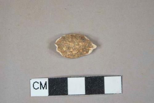 Bone fragment, likely mammal