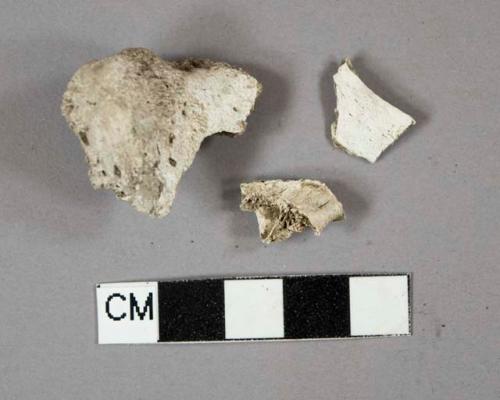 Calcined bone fragments, likely mammal