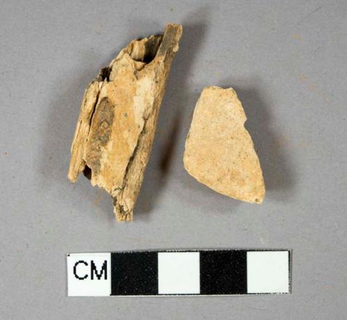 Bone fragments, likely mammal