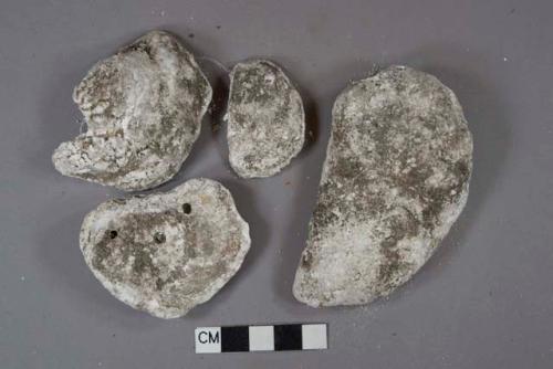 Oyster shell fragments, heavily degraded