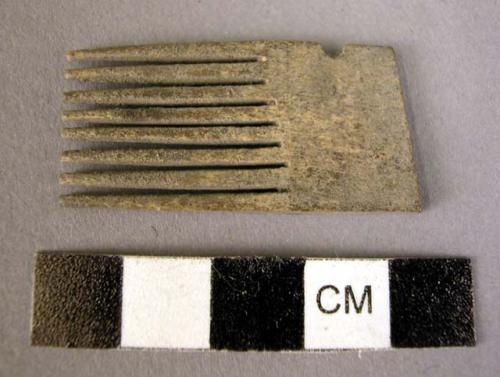 Fragments of bone comb