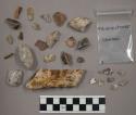 72 pieces, chips, stone; 22 pieces quartz; 8 fragments bone