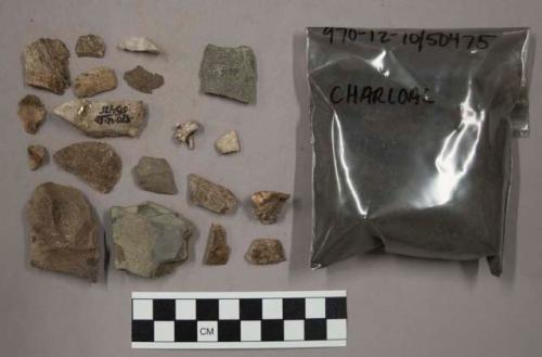 Bag charcoal; 94 stone chips, possibly one artifact; 2 bone fragments; 28 quartz