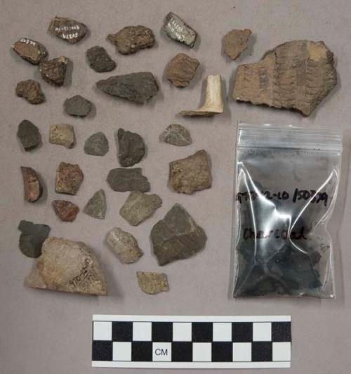 Approx. 73 stone chips; 27 charcoal bits; 1 large potsherd (pieced together with