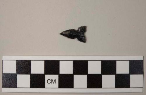 Stone projectile point