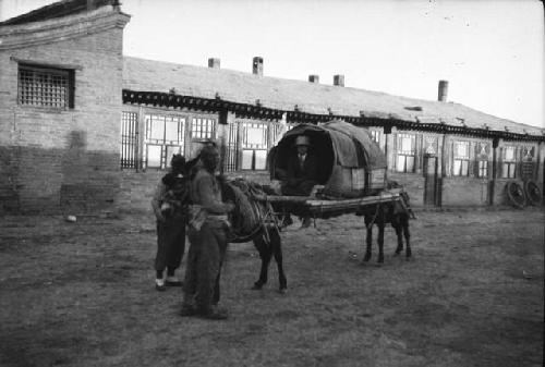 Janet W. Wulsin in Mule Litter