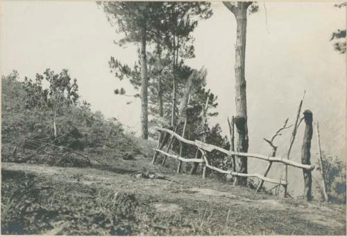 Trellis structure with Anito head posts