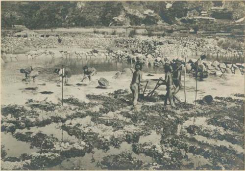 Group of Igorot people preparing rice terrace for planting